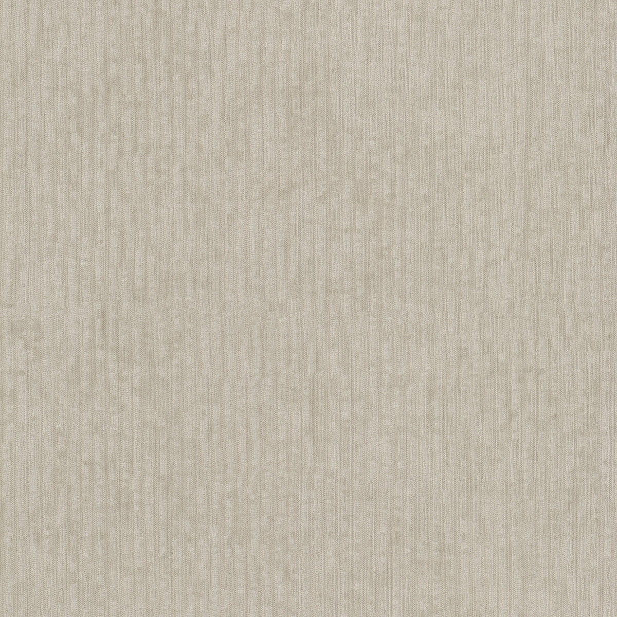 CASSAGO 1 CAMEL