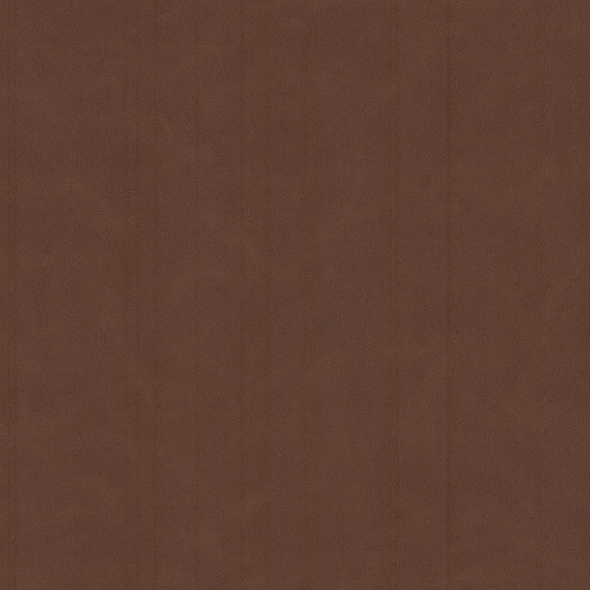 CERVANTES 3 RAISIN
