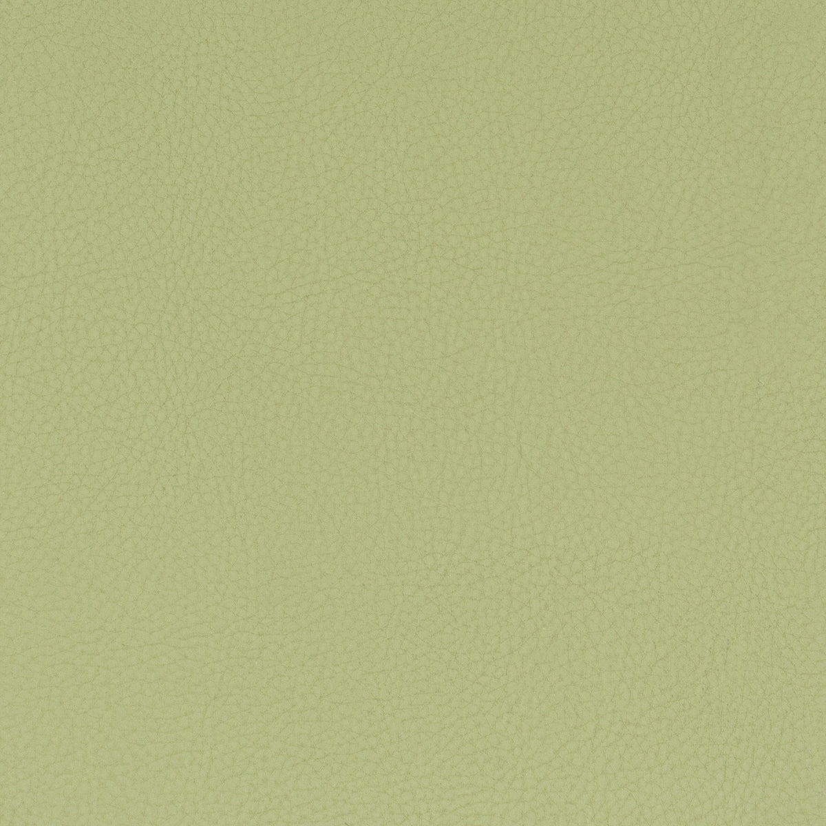 CLASSIC 8 PISTACHIO