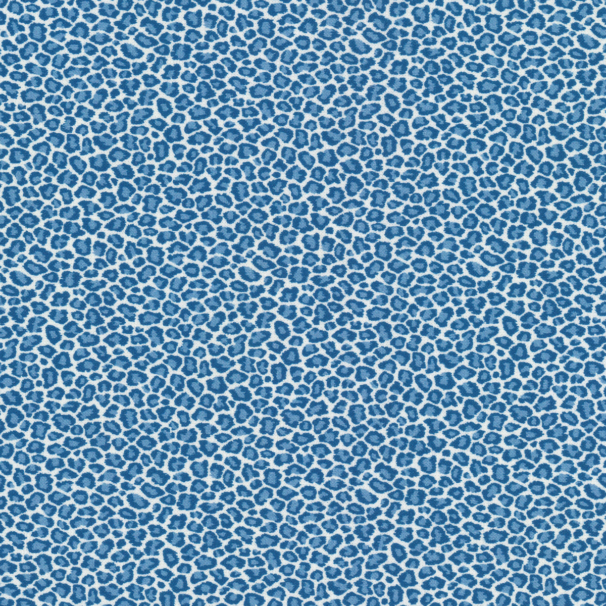 COPYCAT 1 BLUEBIRD