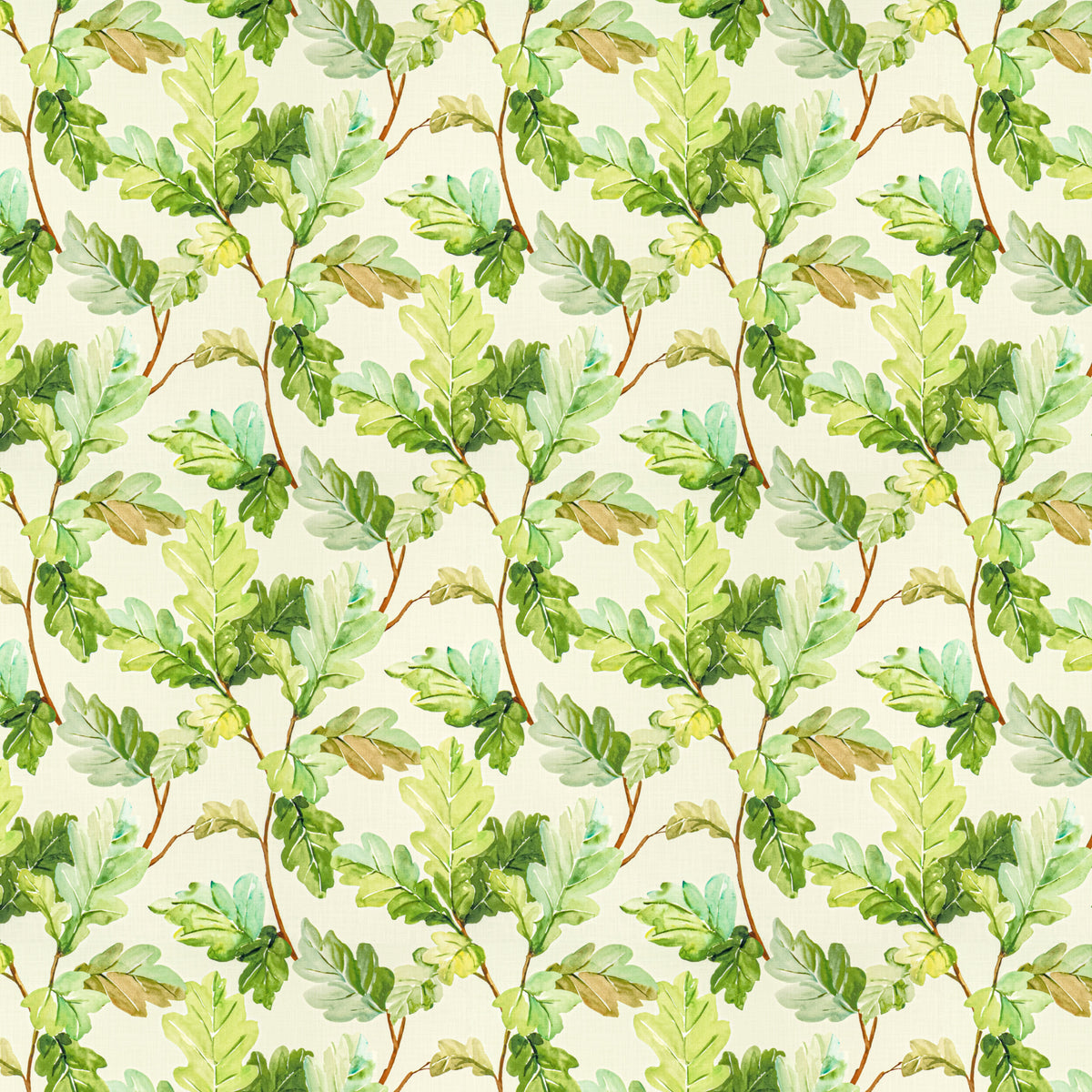 COYOTE 1 JUNGLE