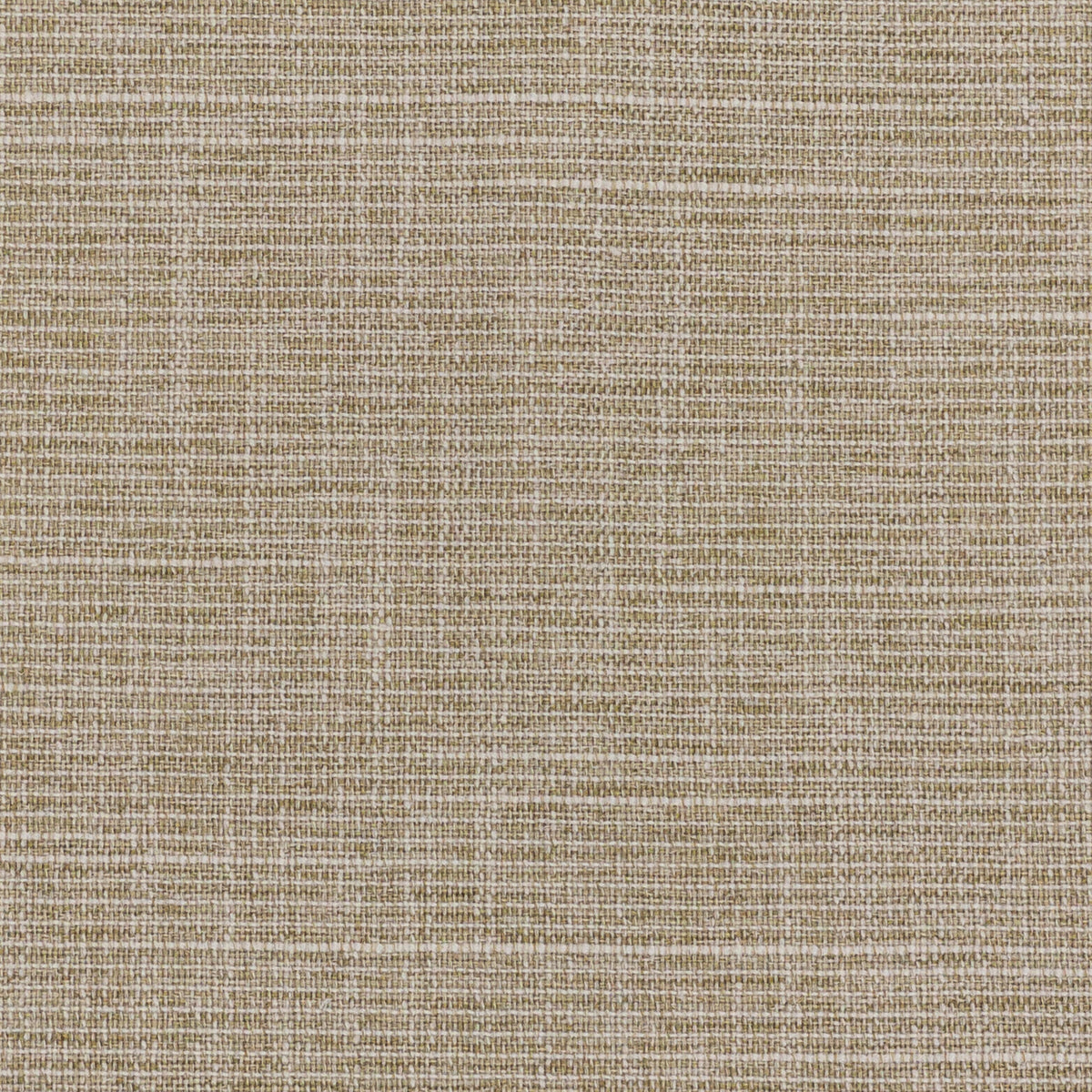CRATER 7 RAFFIA