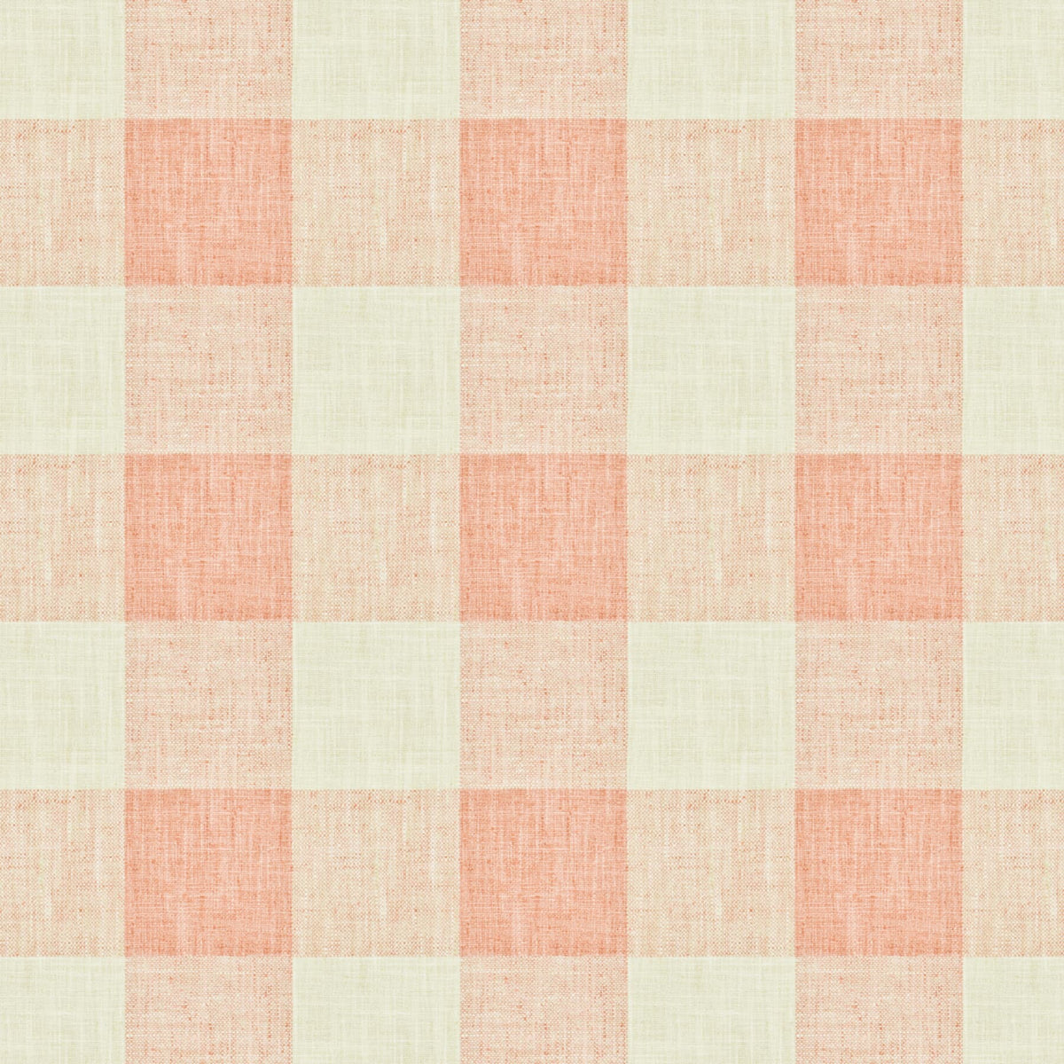 CUBISM 12 SHRIMP