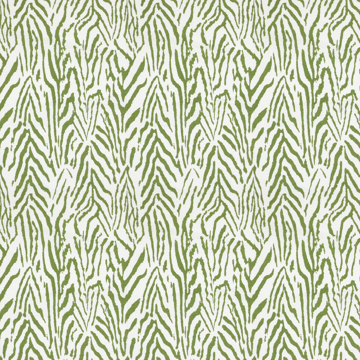 CYRENE 1 GRASS