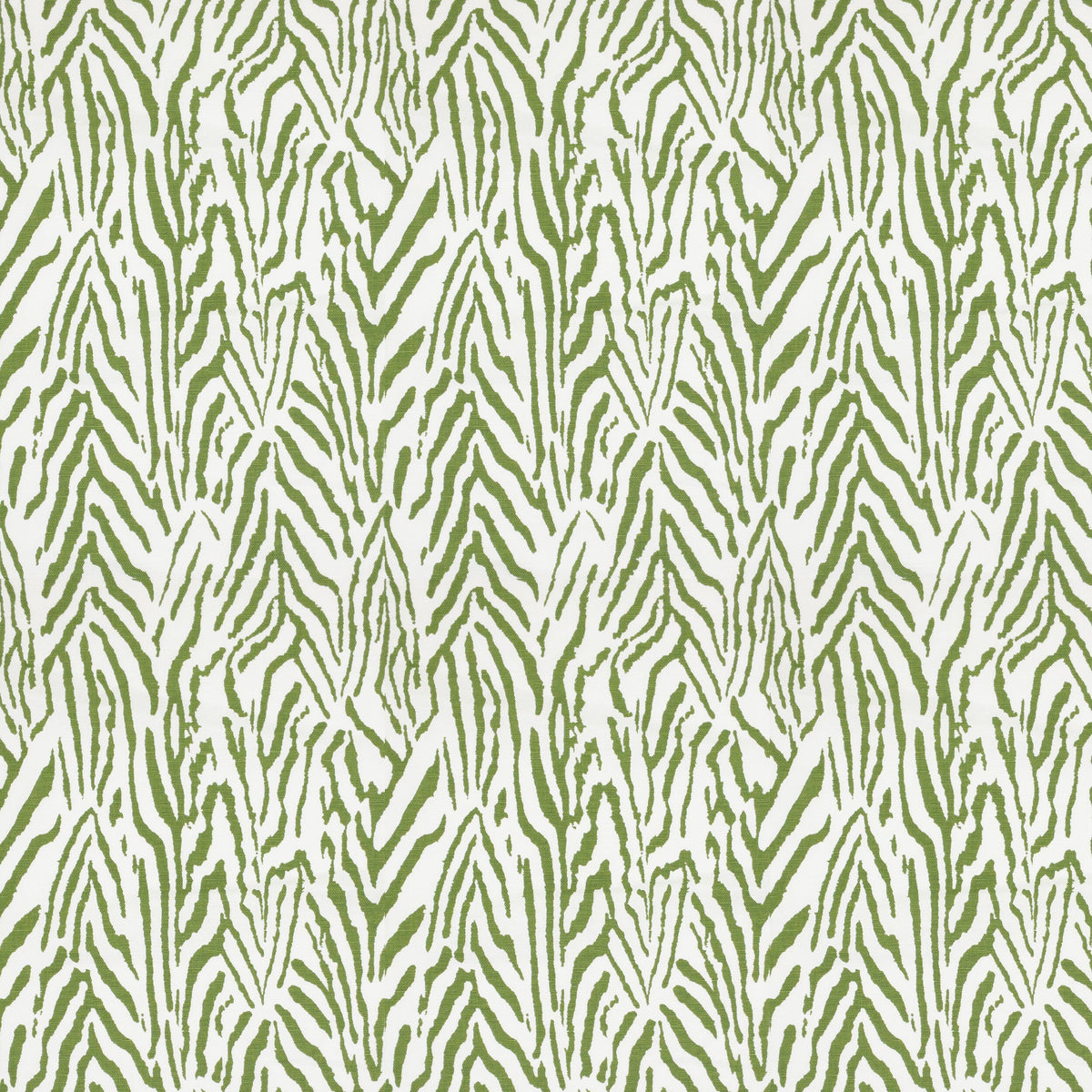 CYRENE 1 GRASS