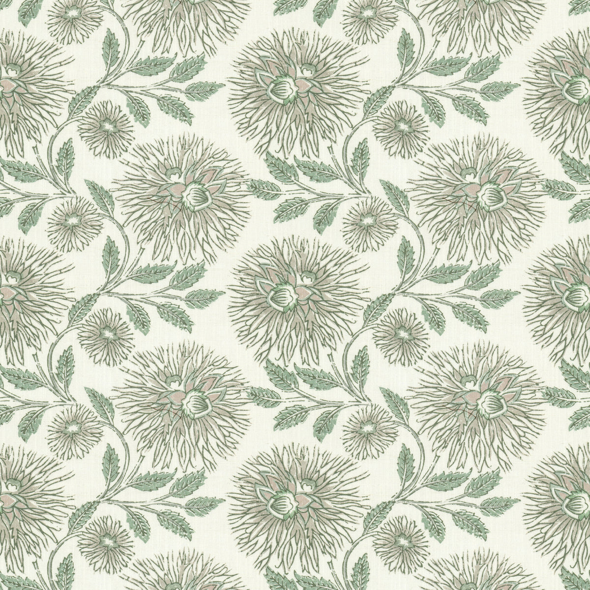 DAHLIA 1 ALOE