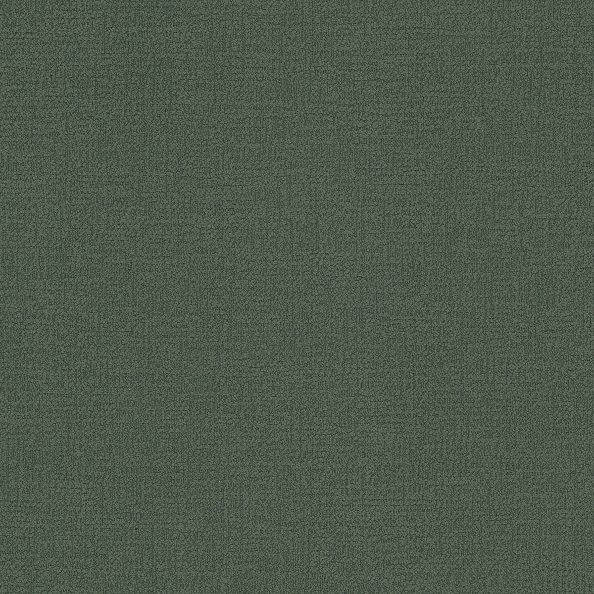 DECORUM 2 EVERGREEN