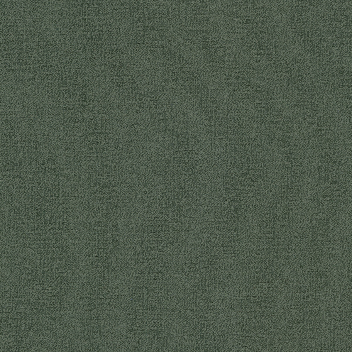 DECORUM 2 EVERGREEN