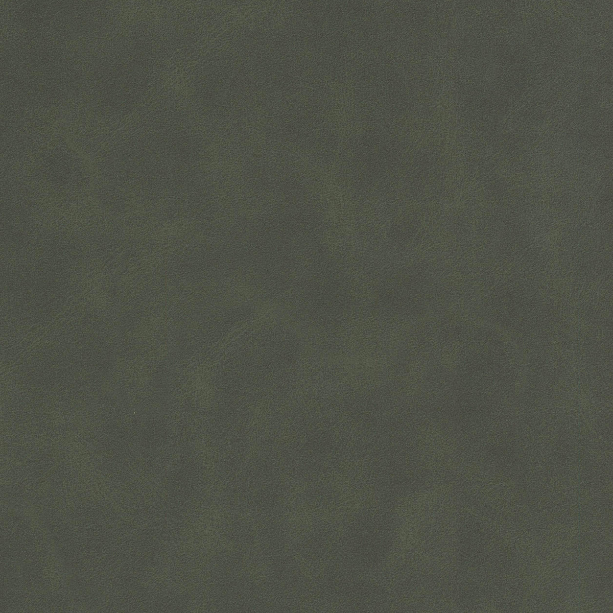 DETERMINE 2 HUNTER