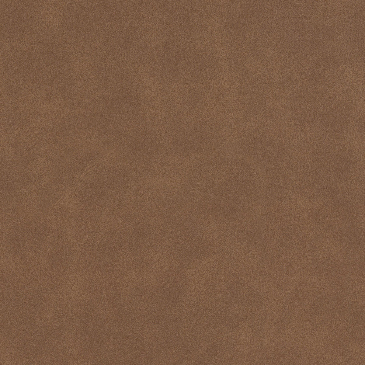 DETERMINE 4 CEDAR