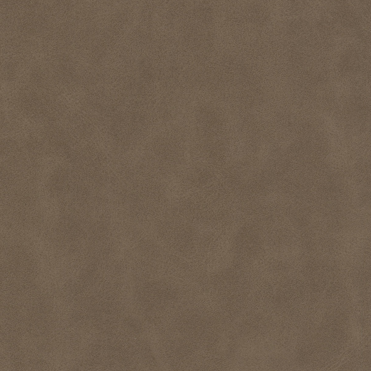 DETERMINE 5 FAWN