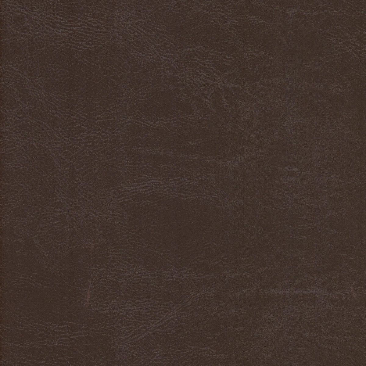 DEWDROP 3 RAISIN