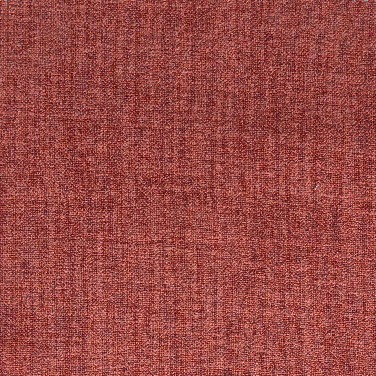 DOLLY 3 RASBERRY