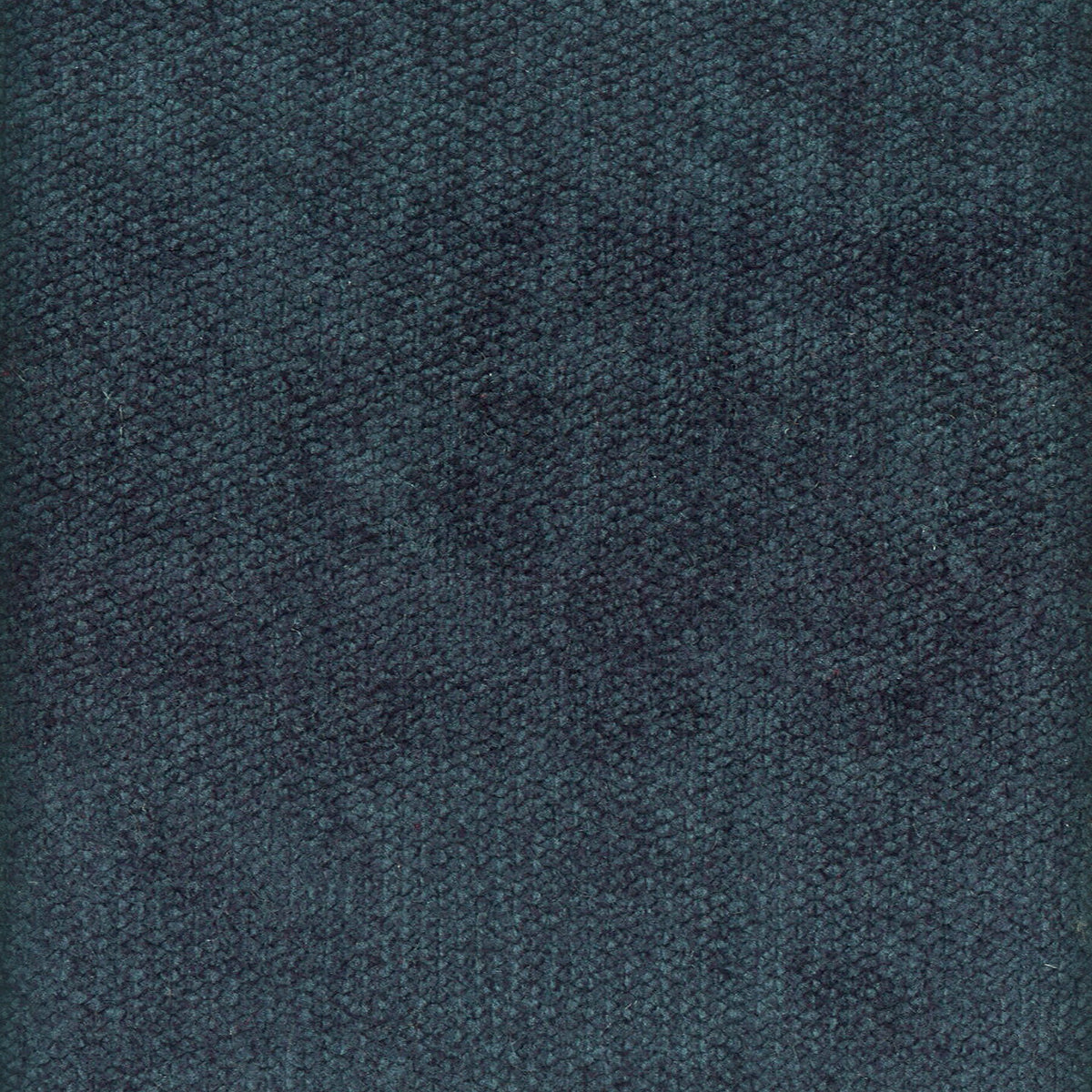 DOME 1 INDIGO