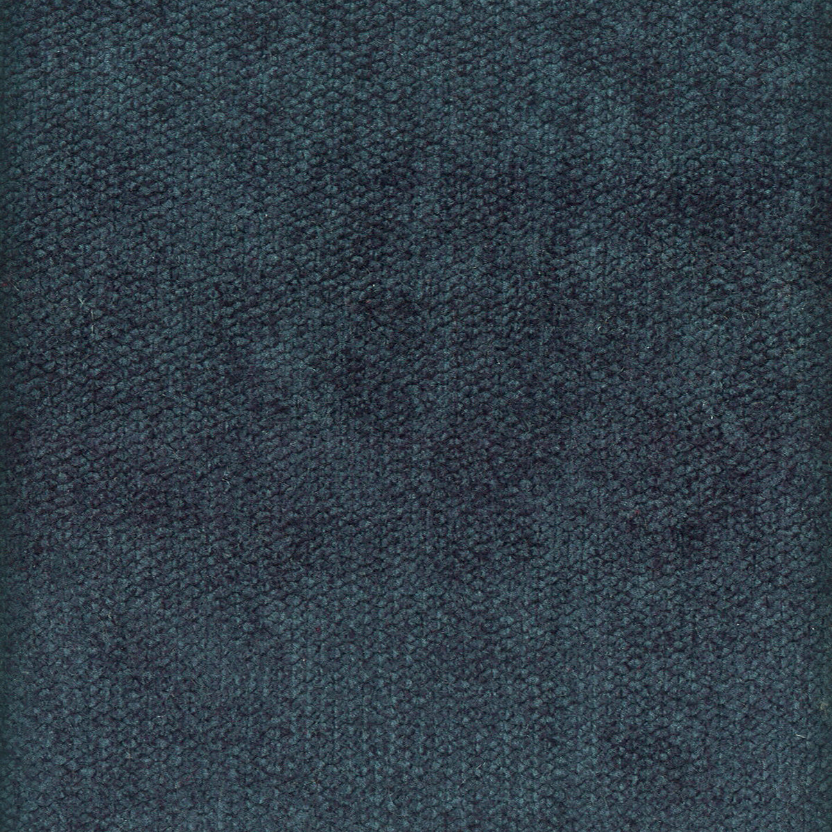 DOME 1 INDIGO
