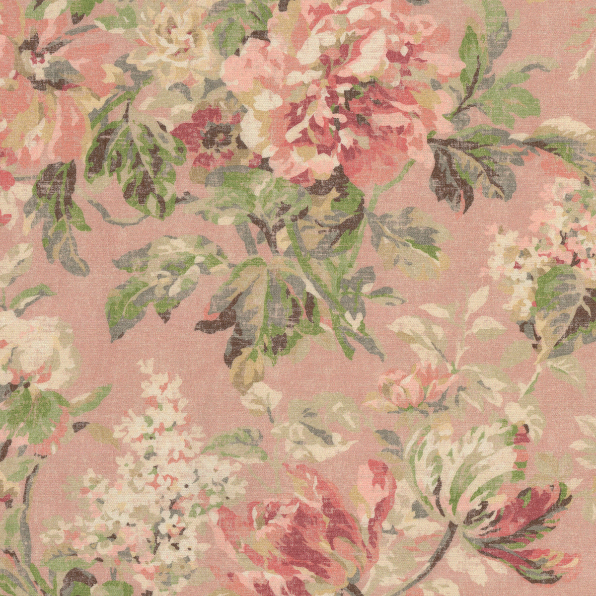 DOYLE 1 CORAL