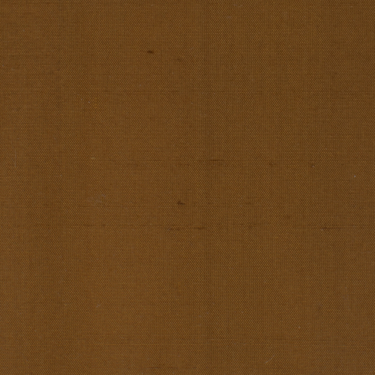 DUPIONI 31 SPICE