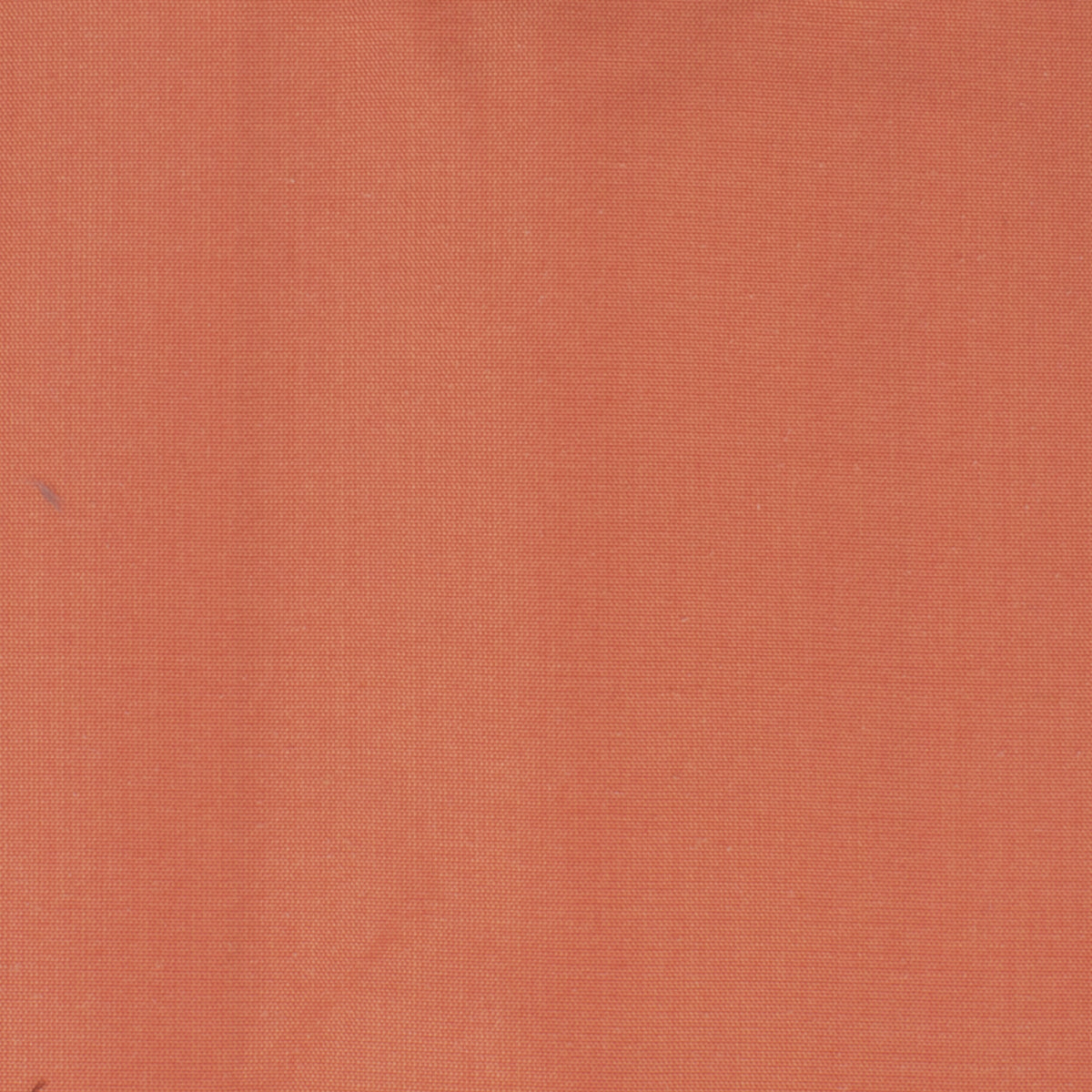 DUPIONI 69 CORAL