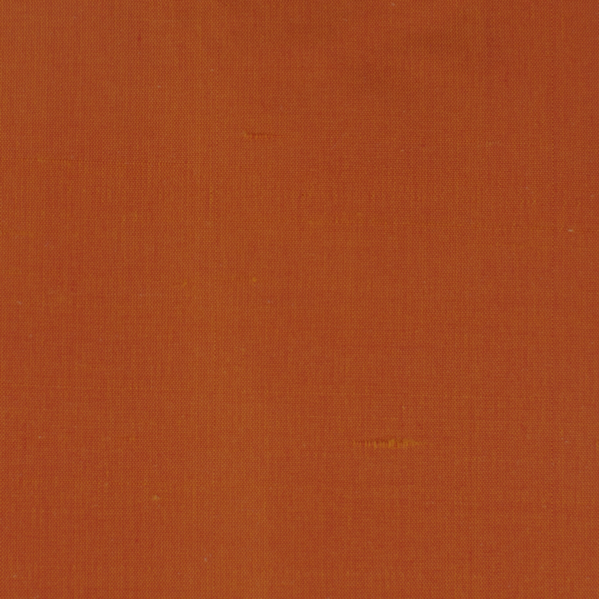 DUPIONI 72 TIGERLILY