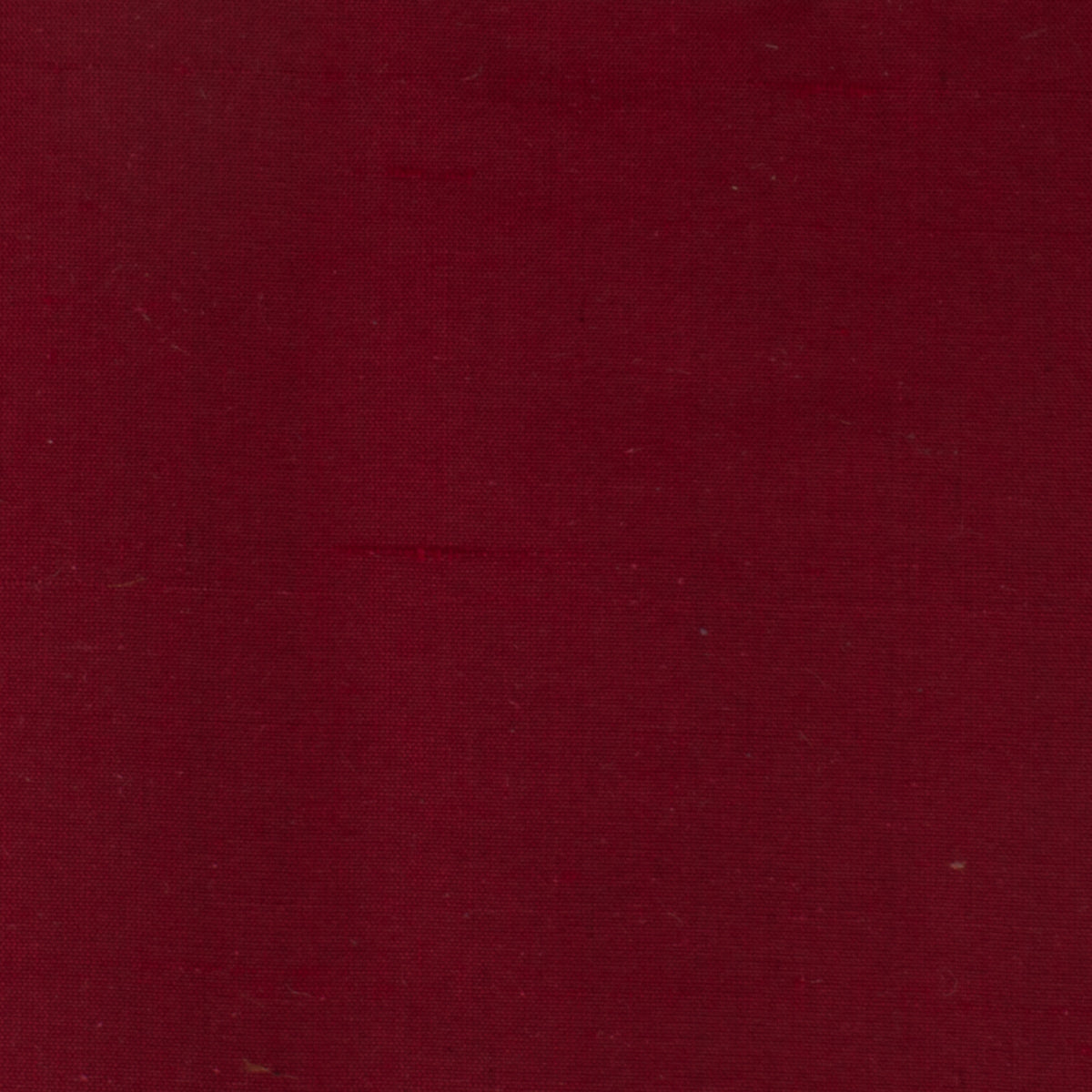 DUPIONI 77 CARDINAL