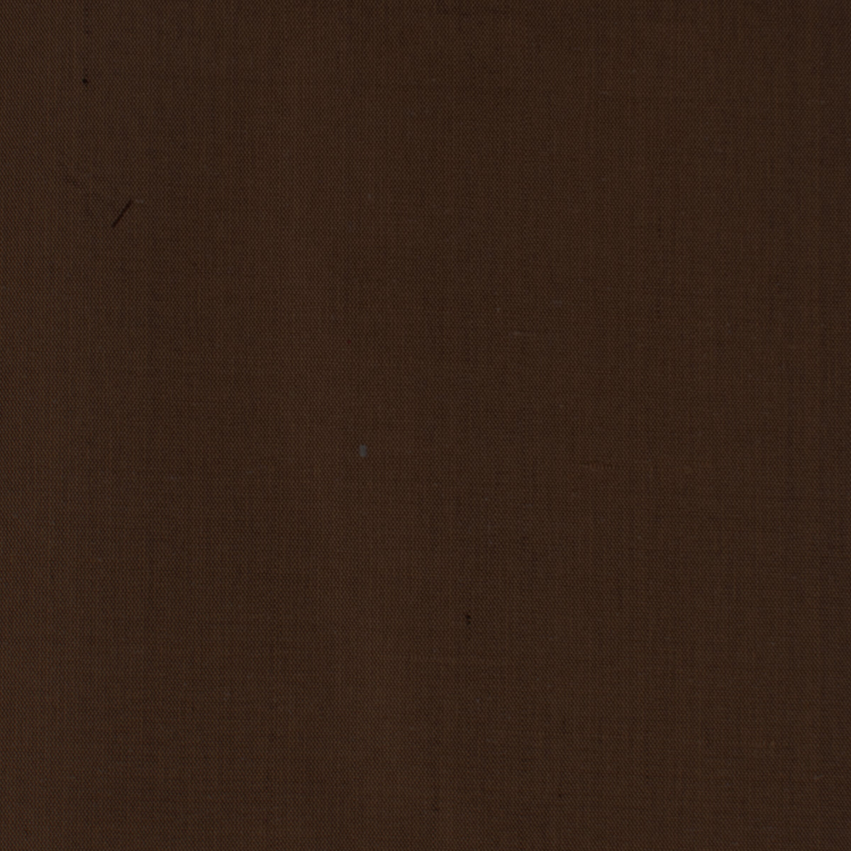 DUPIONI 81 ESPRESSO