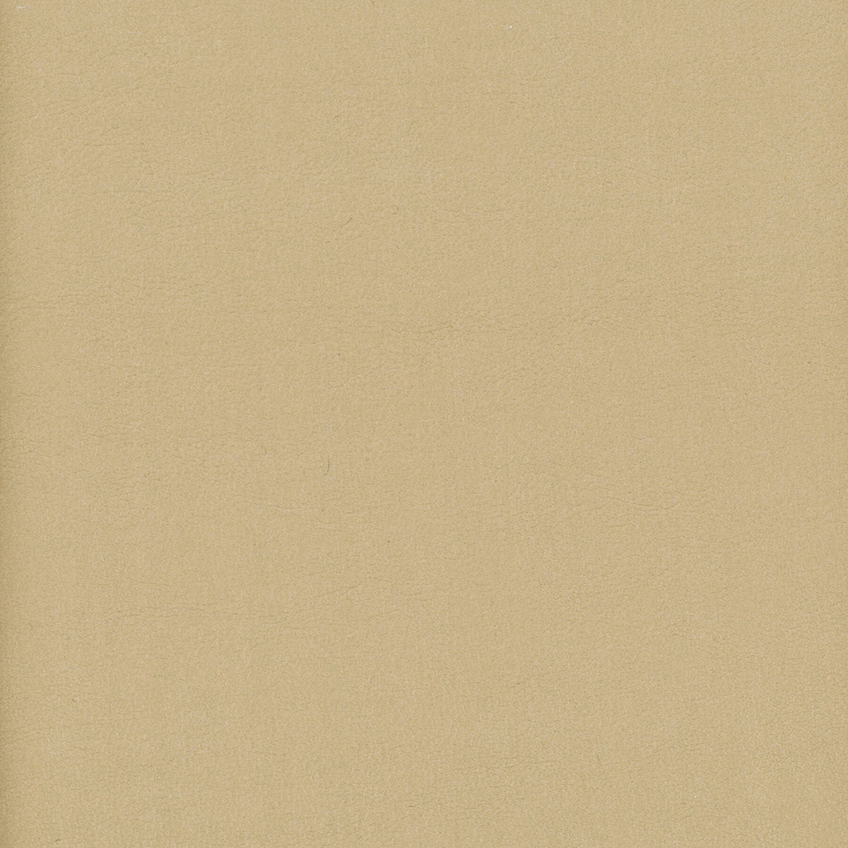 ELBERT 12 JUTE