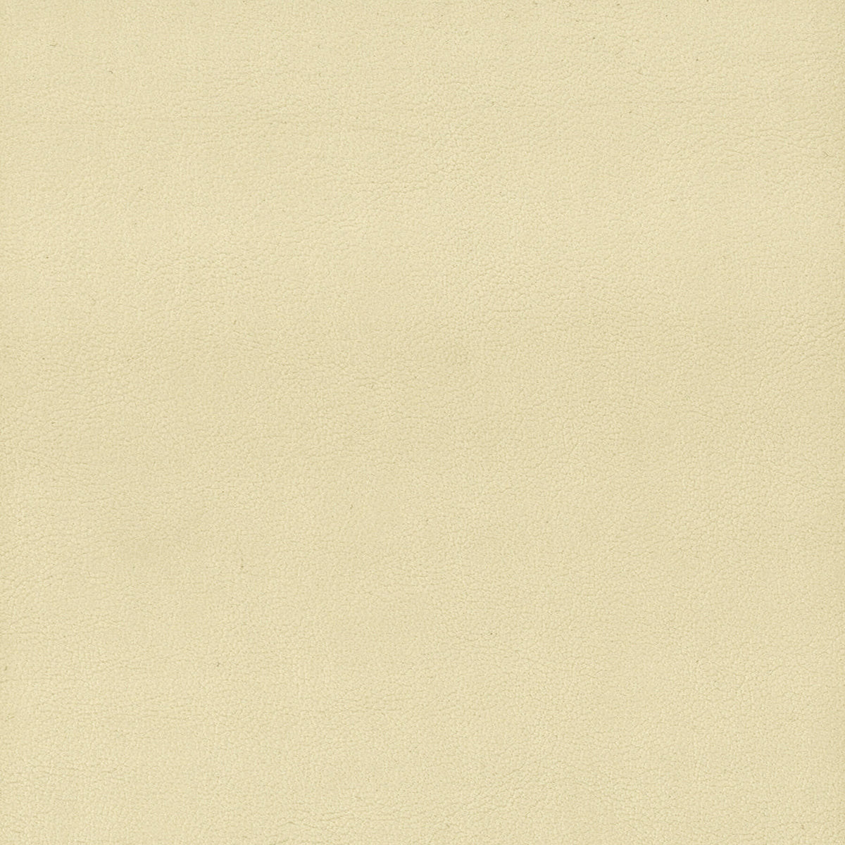ELBERT 1 PARCHMENT