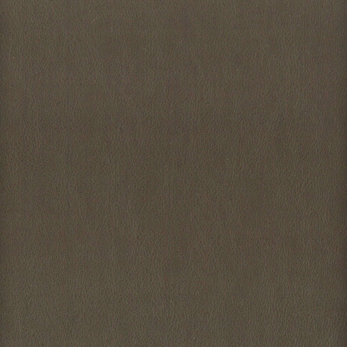 ELBERT 7 GUNMETAL
