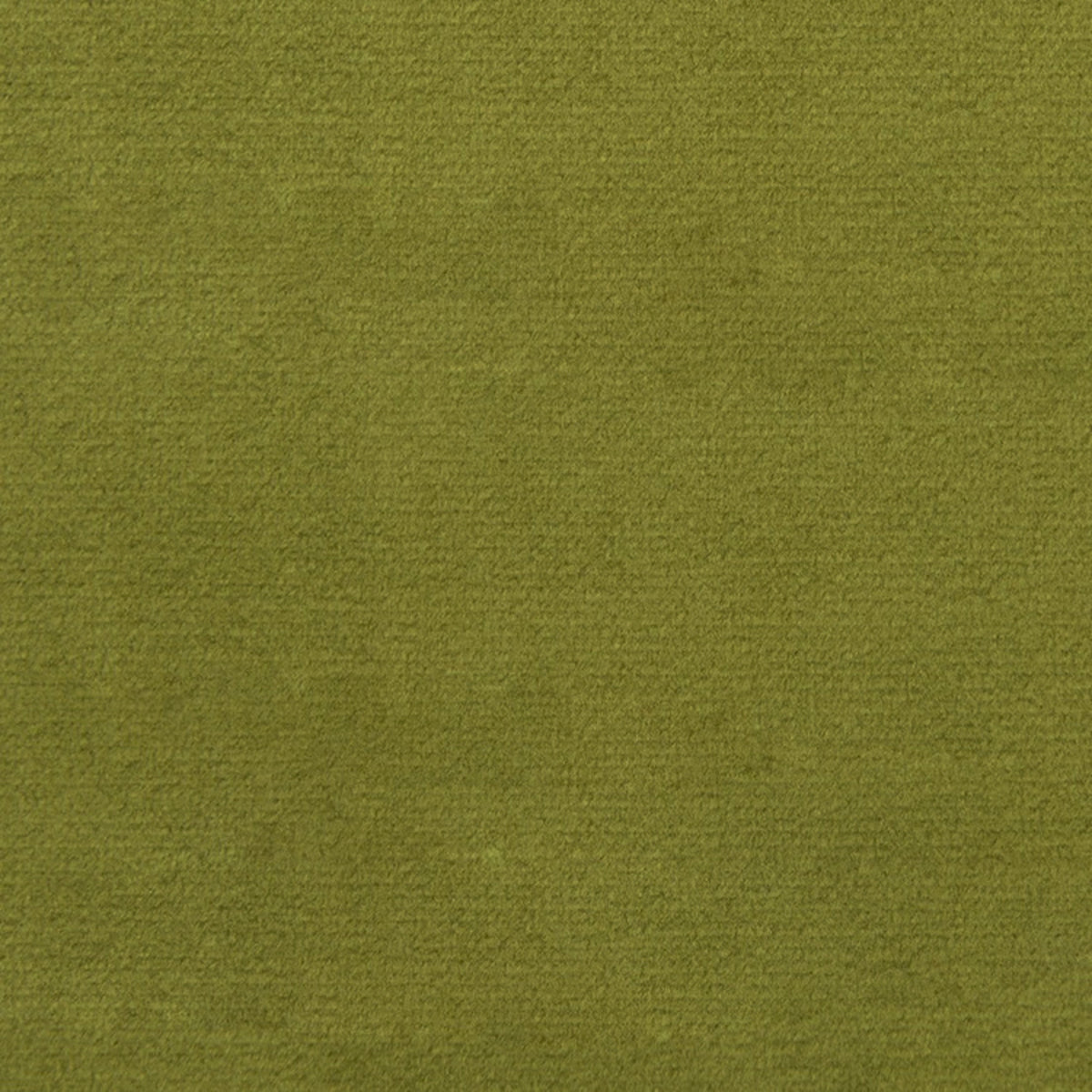 Greenhouse F1837 Fern Fabric | Atlanta Fabrics
