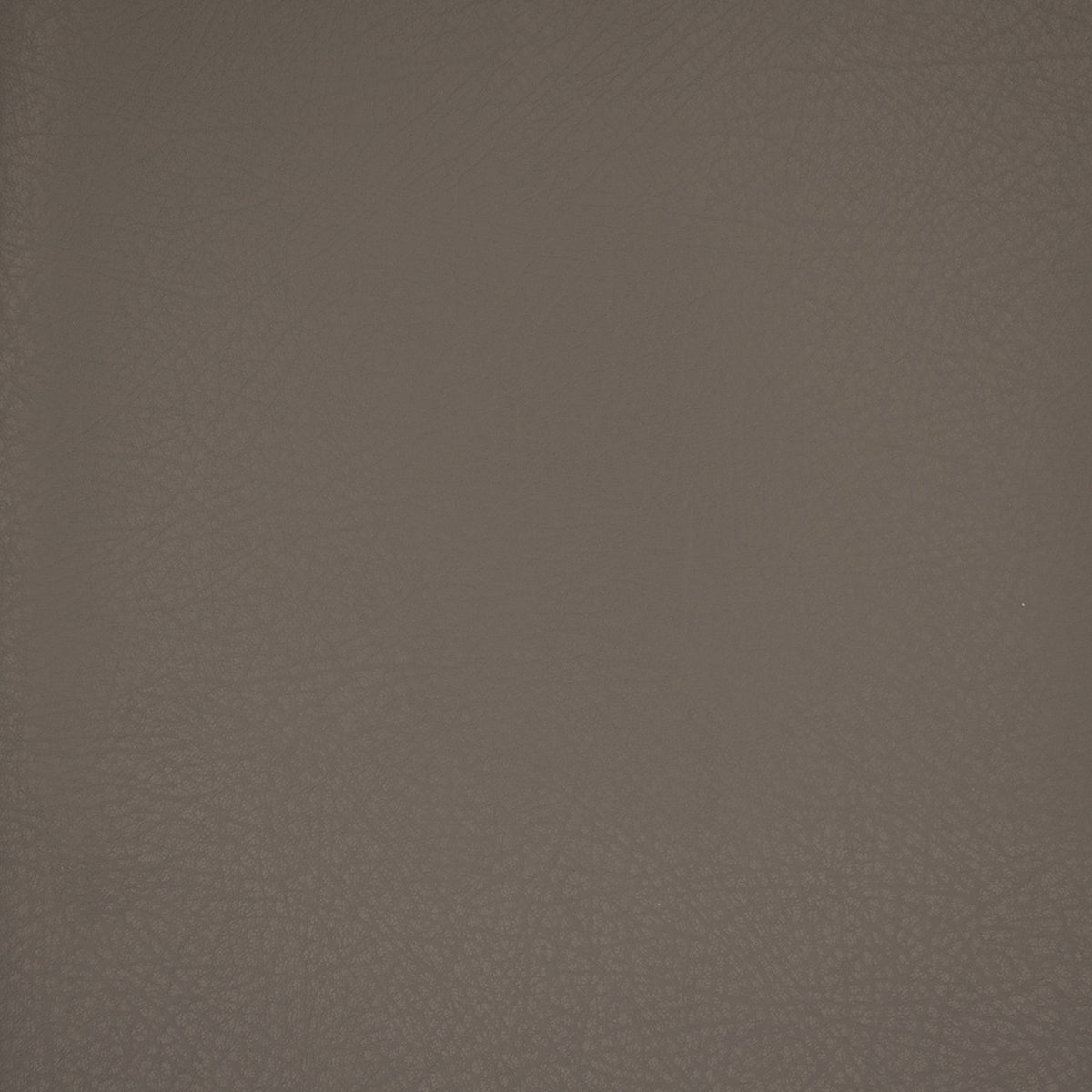 Greenhouse F4980  | Atlanta Fabrics