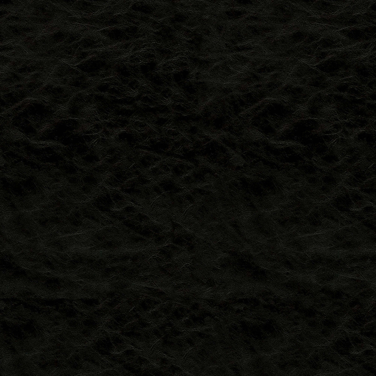 F5069