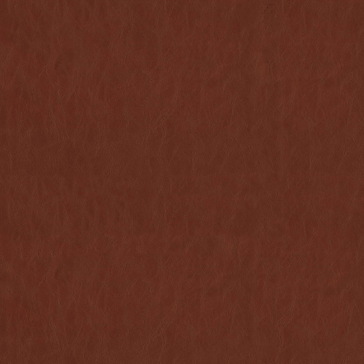 Greenhouse F5081  | Atlanta Fabrics