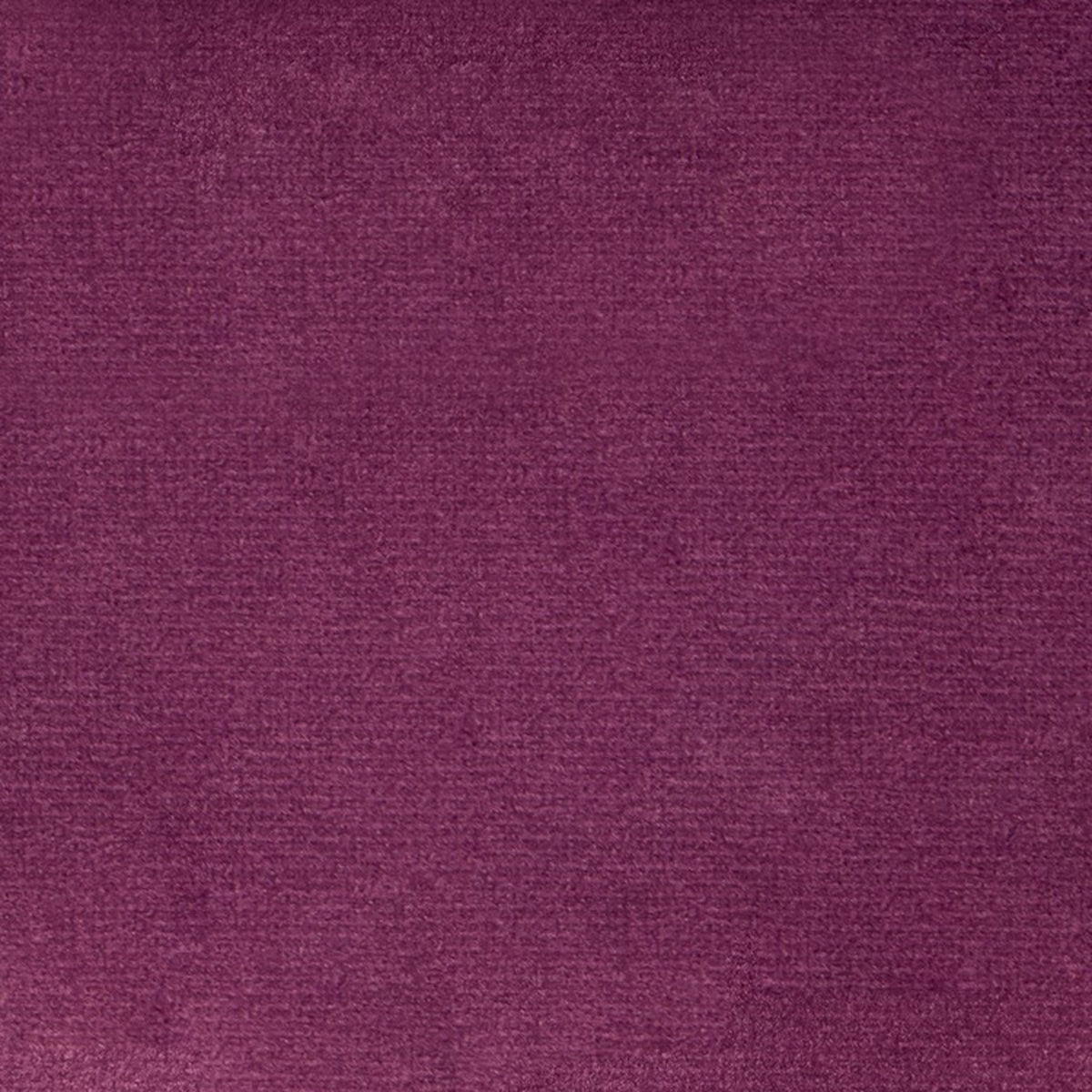 Greenhouse F5349  | Atlanta Fabrics