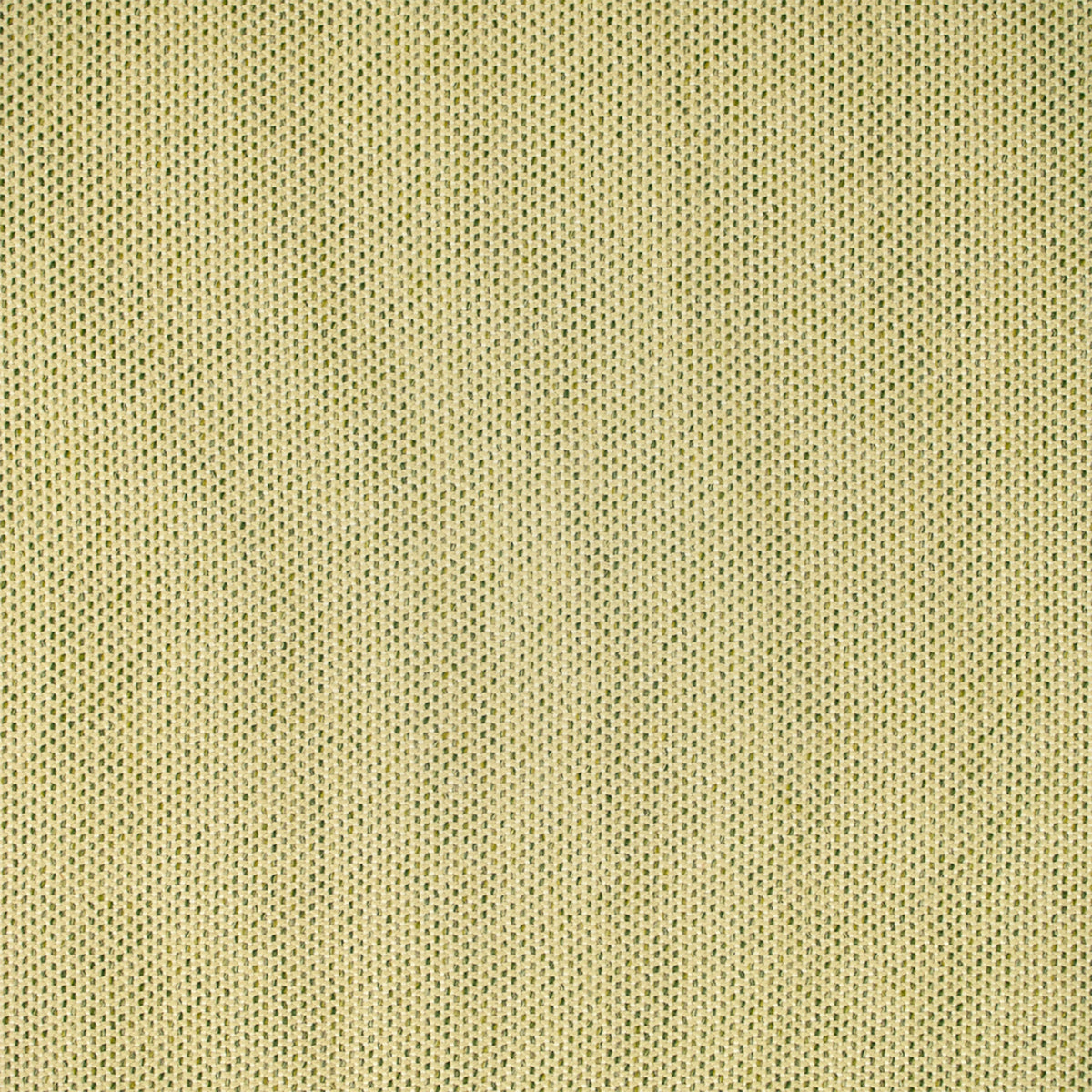 Greenhouse F5464  | Atlanta Fabrics