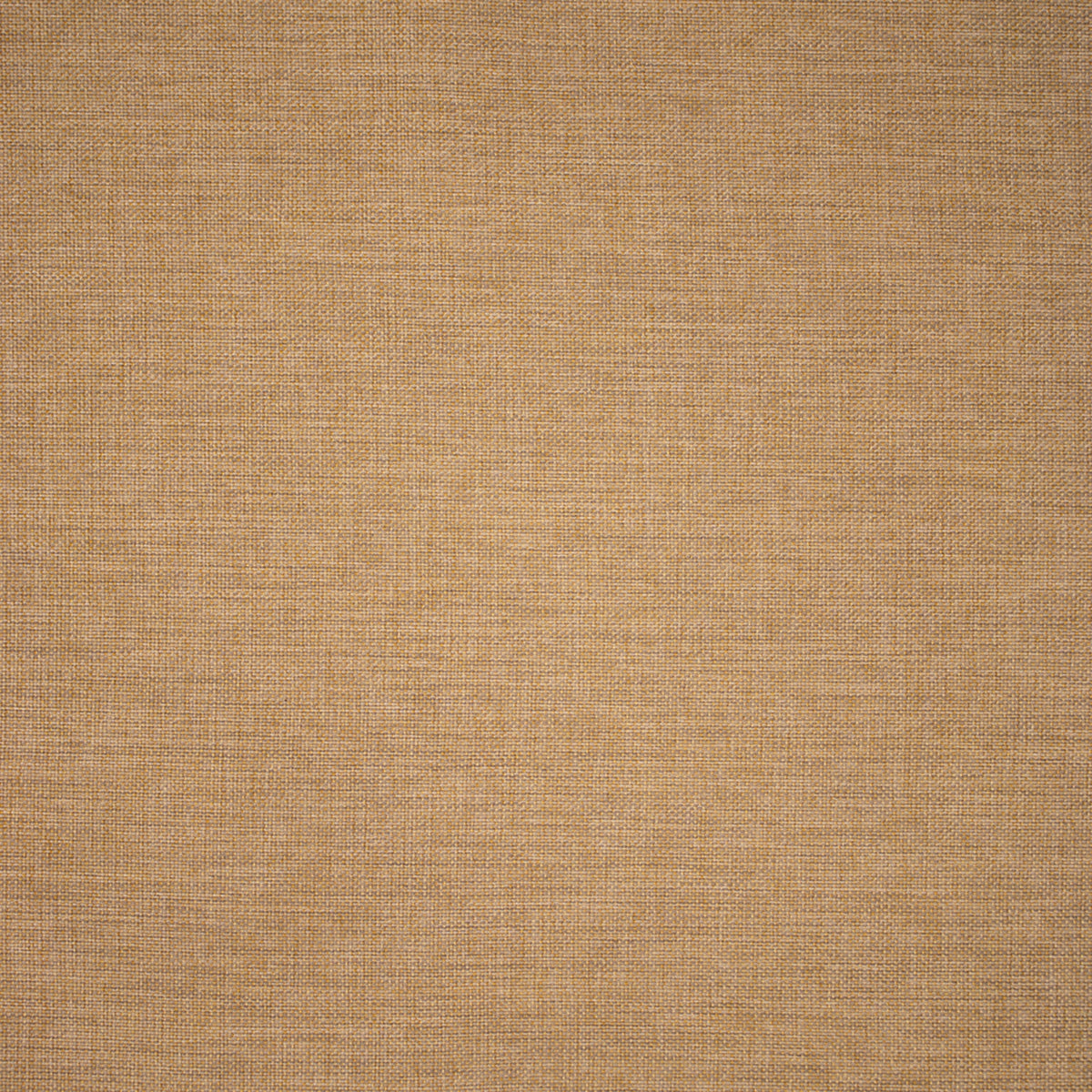 Greenhouse F5530  | Atlanta Fabrics