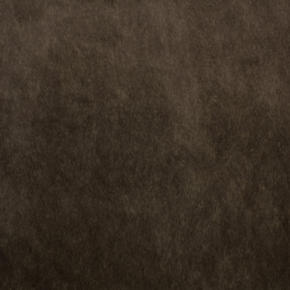 Greenhouse F5572 Fabric | Atlanta Fabrics