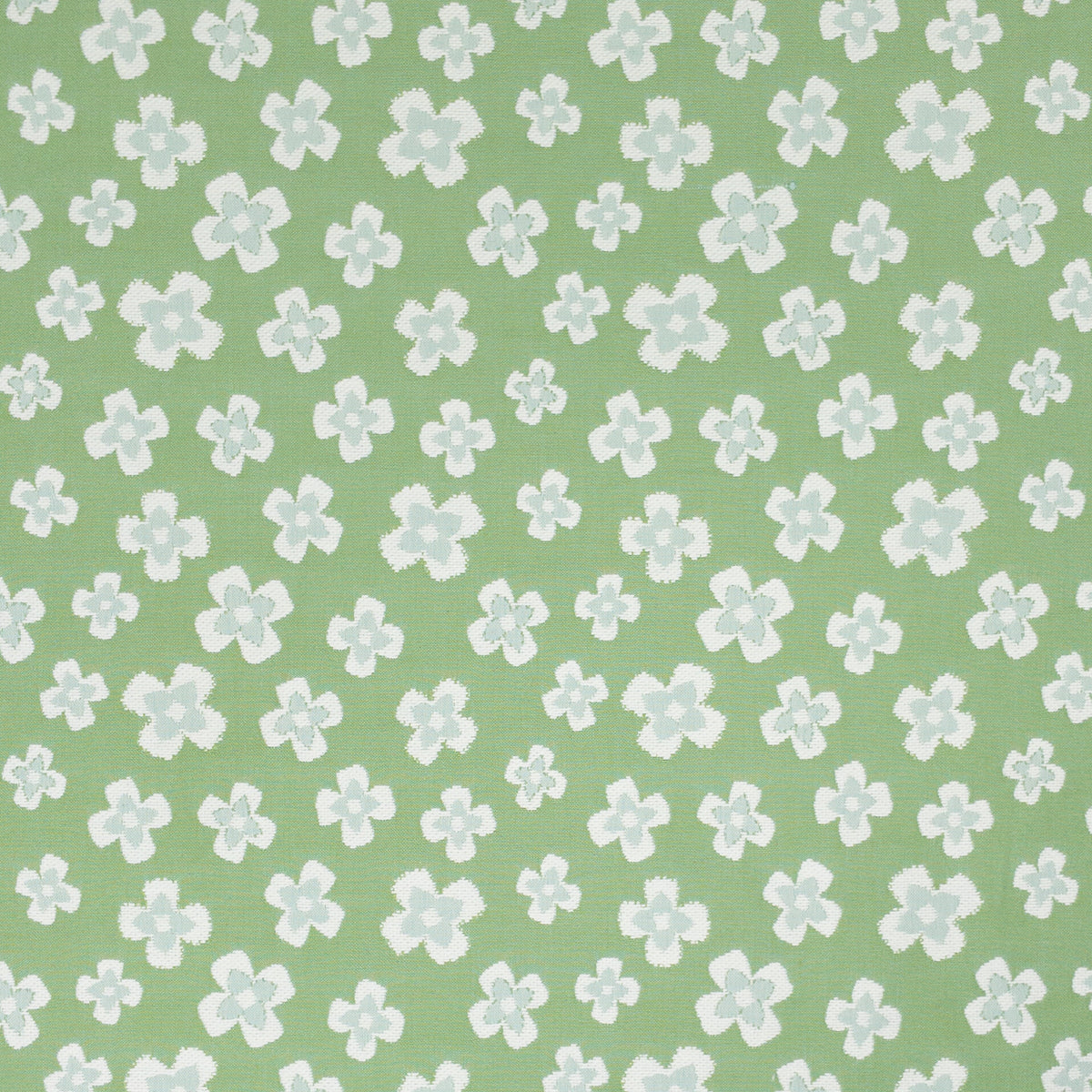 FANCIFUL 2 SPRING