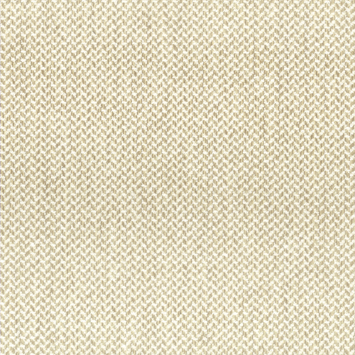 FENWAY 1 PARCHMENT