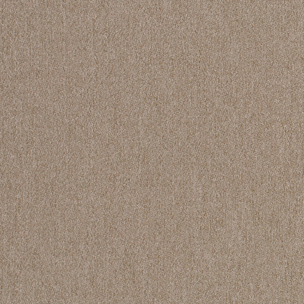 Mitchell Fabrics Adept-Latte Fabric | Atlanta Fabrics