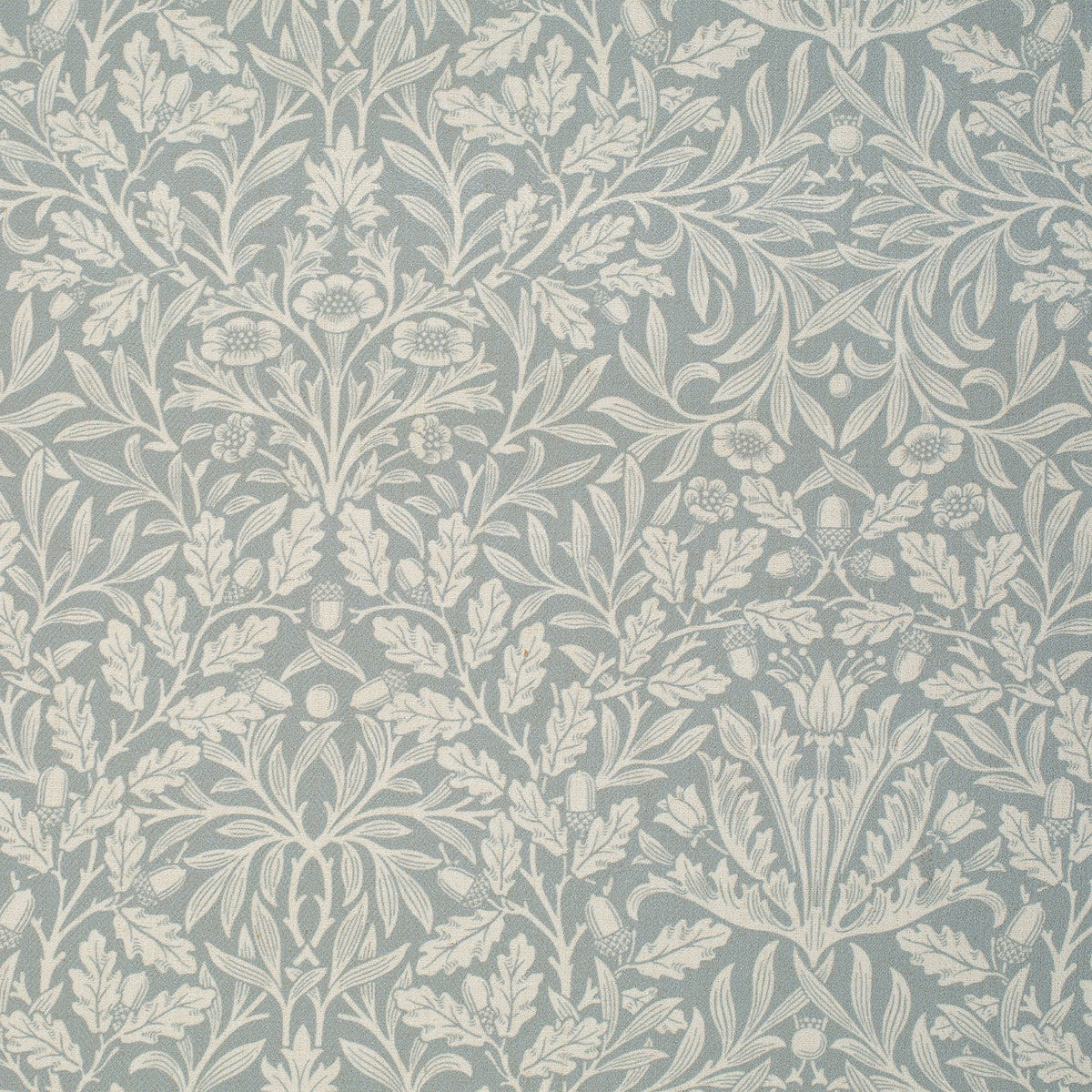 Acorn-Wedgewood