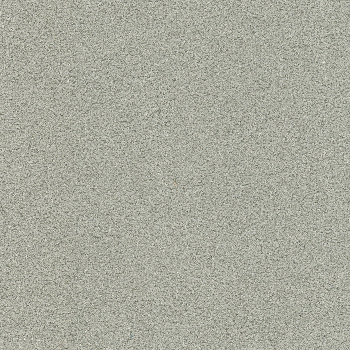 FINNERTY 1 GREY