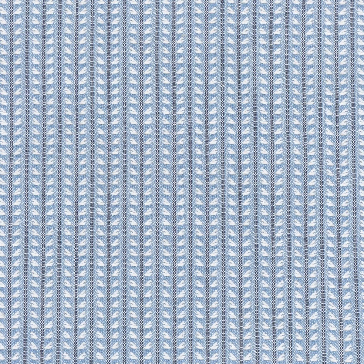 FIONA 1 SKY