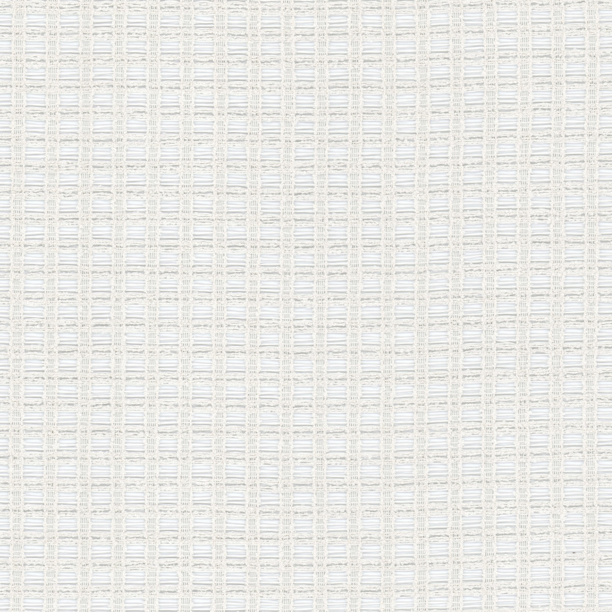 FIRST 1 SALT