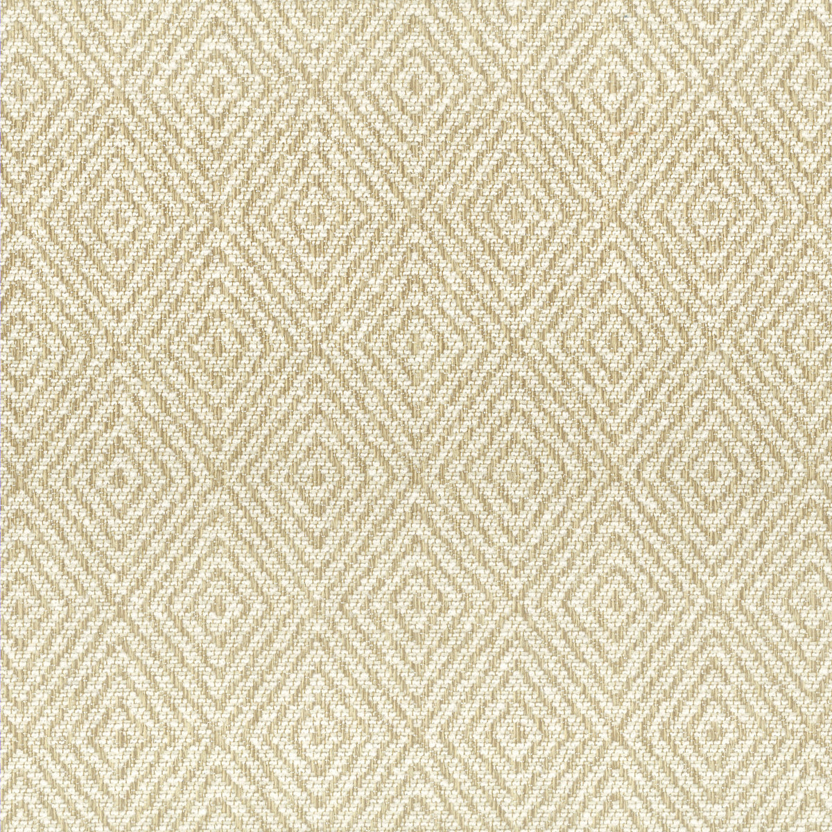 FITCH 1 PARCHMENT