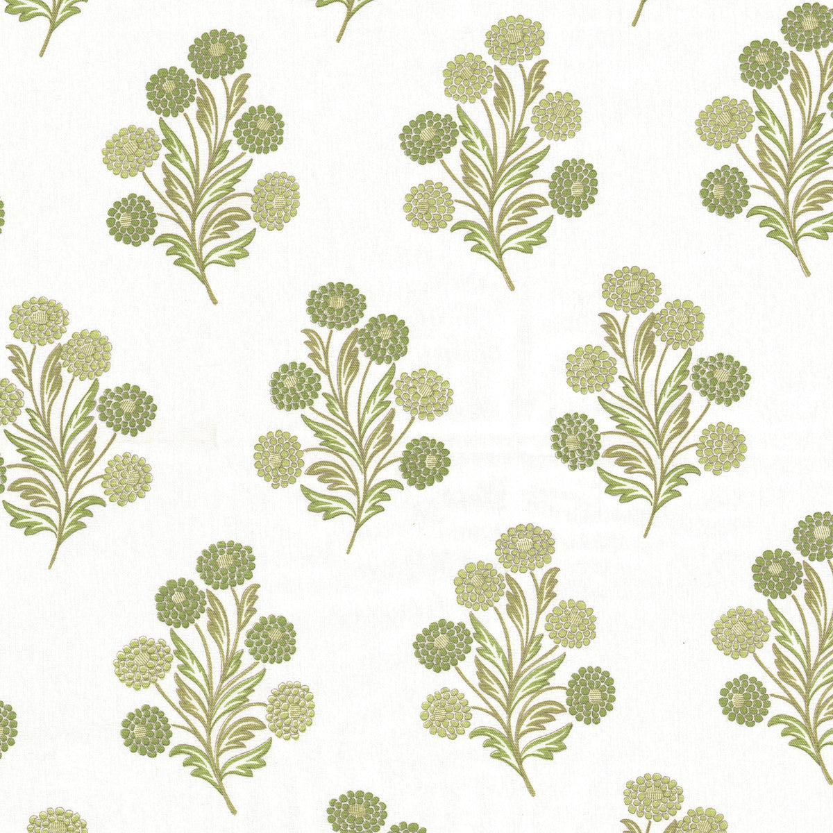 FOXCROFT 1 CELERY