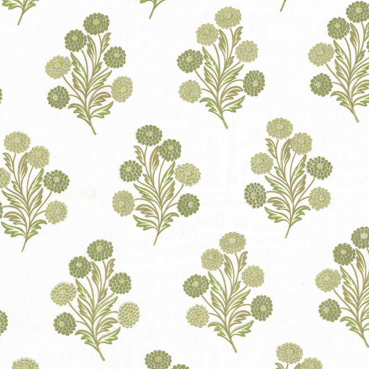 FOXCROFT 1 CELERY