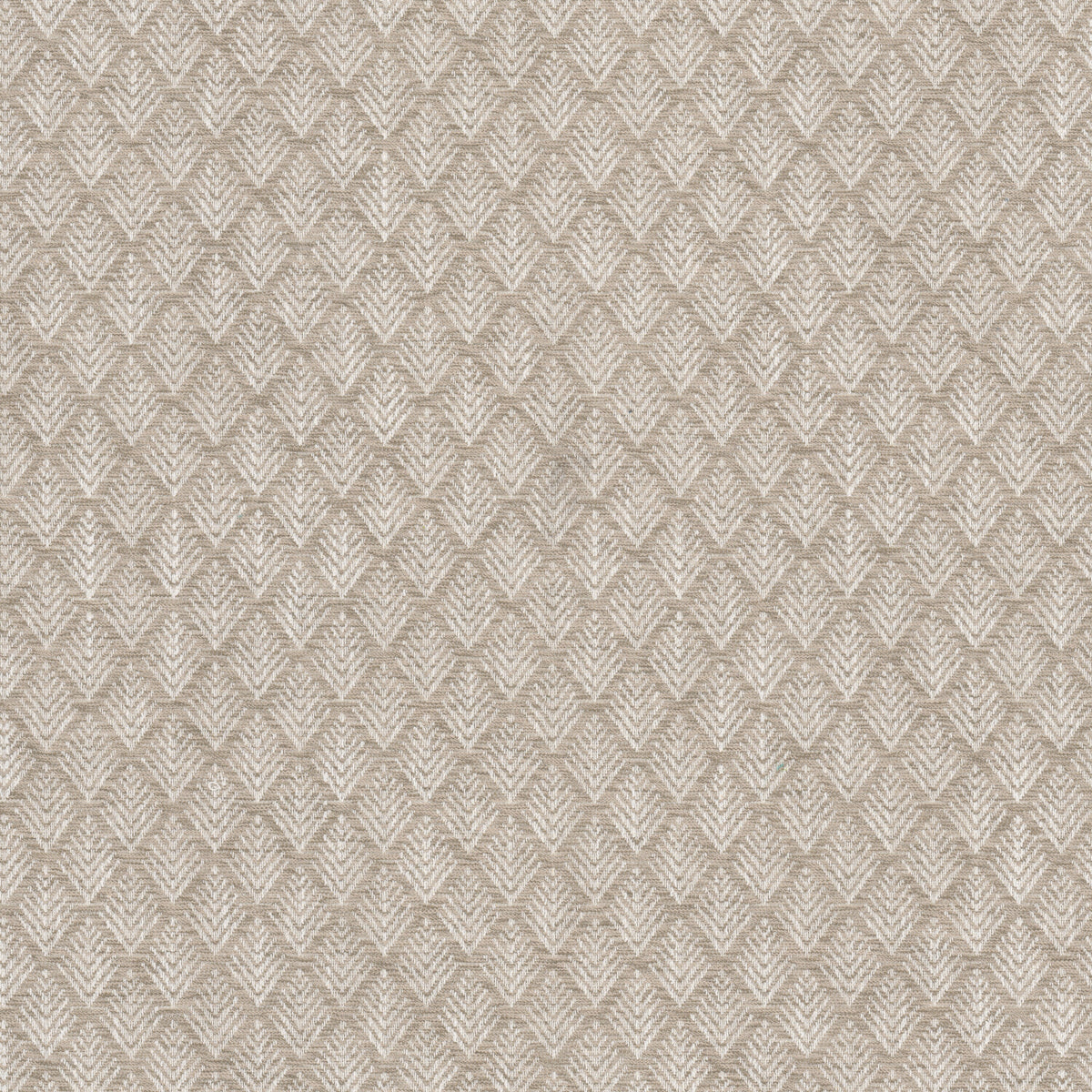 FRACTAL 1 WHEAT