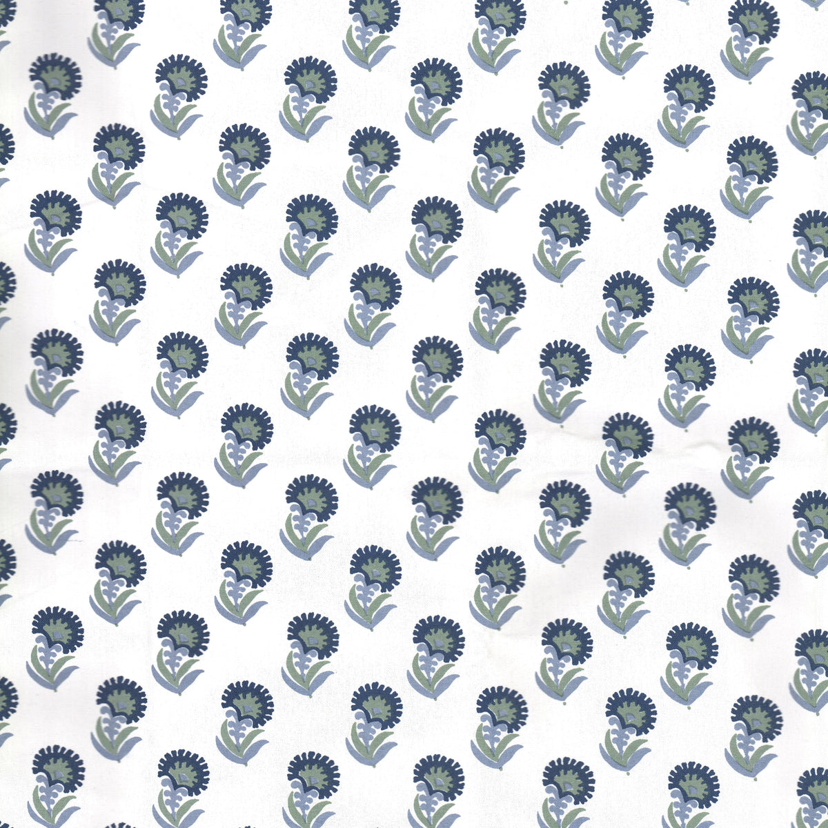 FRESNO 1 PERIWINKLE