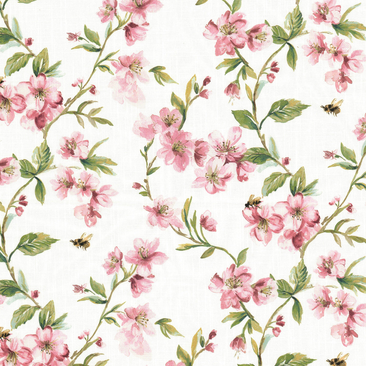 GAVOTTE 3 PEONY
