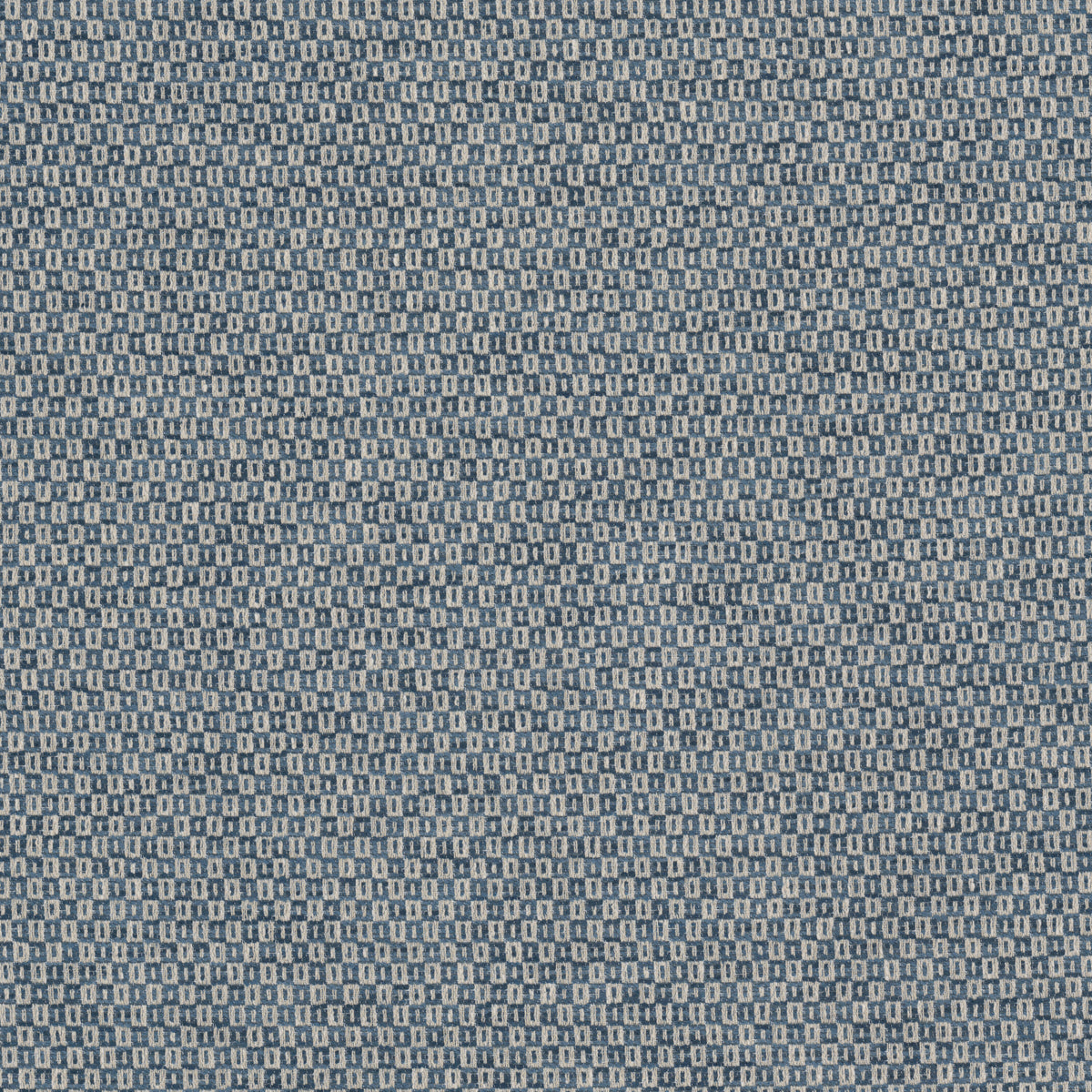 GECKO 1 DENIM